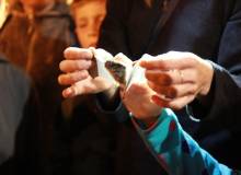 IMG_7591_original