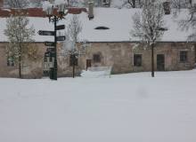 IMG_8390_original