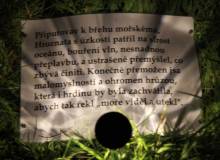 IMG_8631_original
