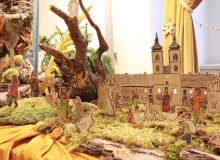IMG_6619_original